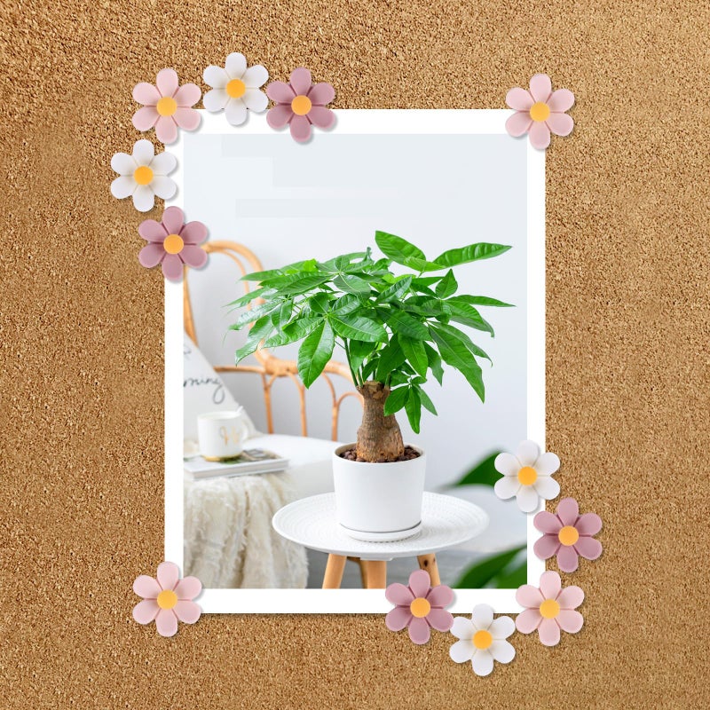 wusuowea Flower Push Pins 30pcs Push Pins for Cork Board Pink Decorative Thumb Tacks Cute Push Pins for Cork Board Fun Thumb Tacks Decorative for Photo Wall  Feature Wall Map  Bulletin Board  Office or Home - Image 4